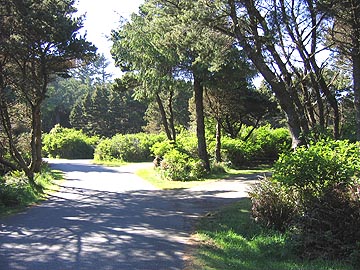 State Campground at Cape Blanco