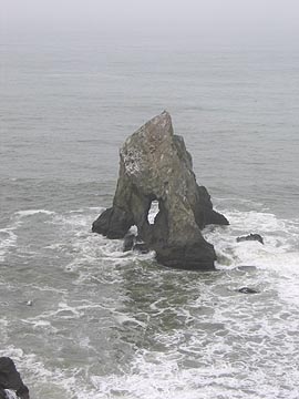 Closeup of the lacey rock