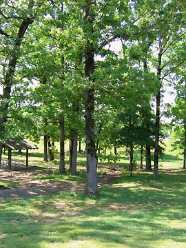 At a roadside rest in Arkansas