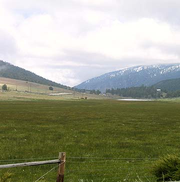 near Tejon Pass