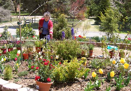 Joanie Fraser in her garden