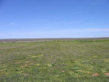 the Staked Plains