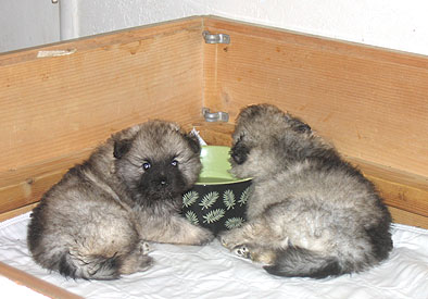 hanging out at the water cooler